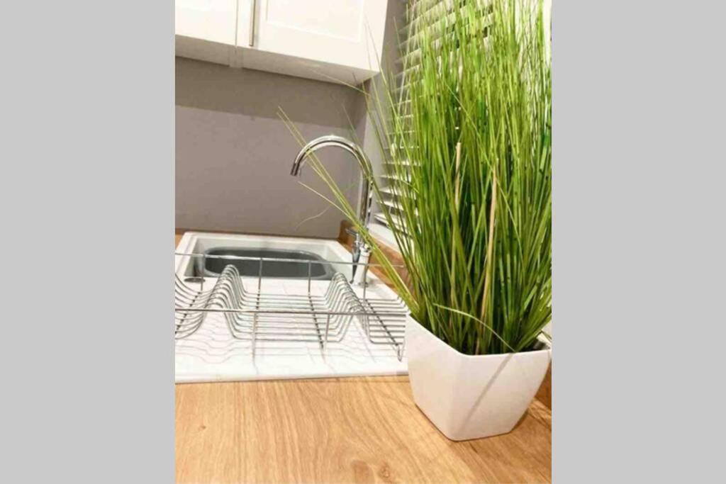 The Terrace Chester, Modern 3 Bed House מראה חיצוני תמונה